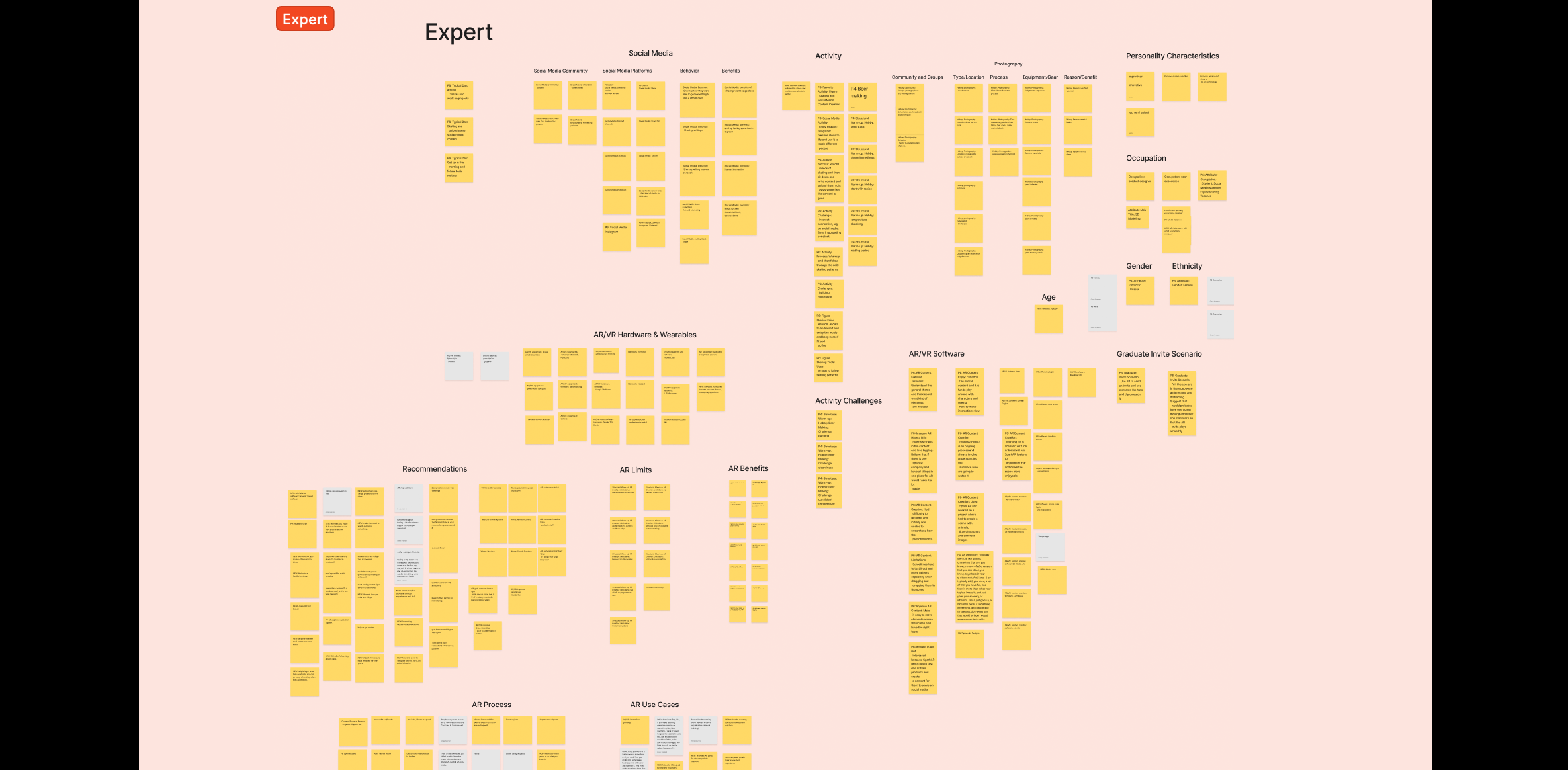 Expert Affinity Diagram overview of Expert User