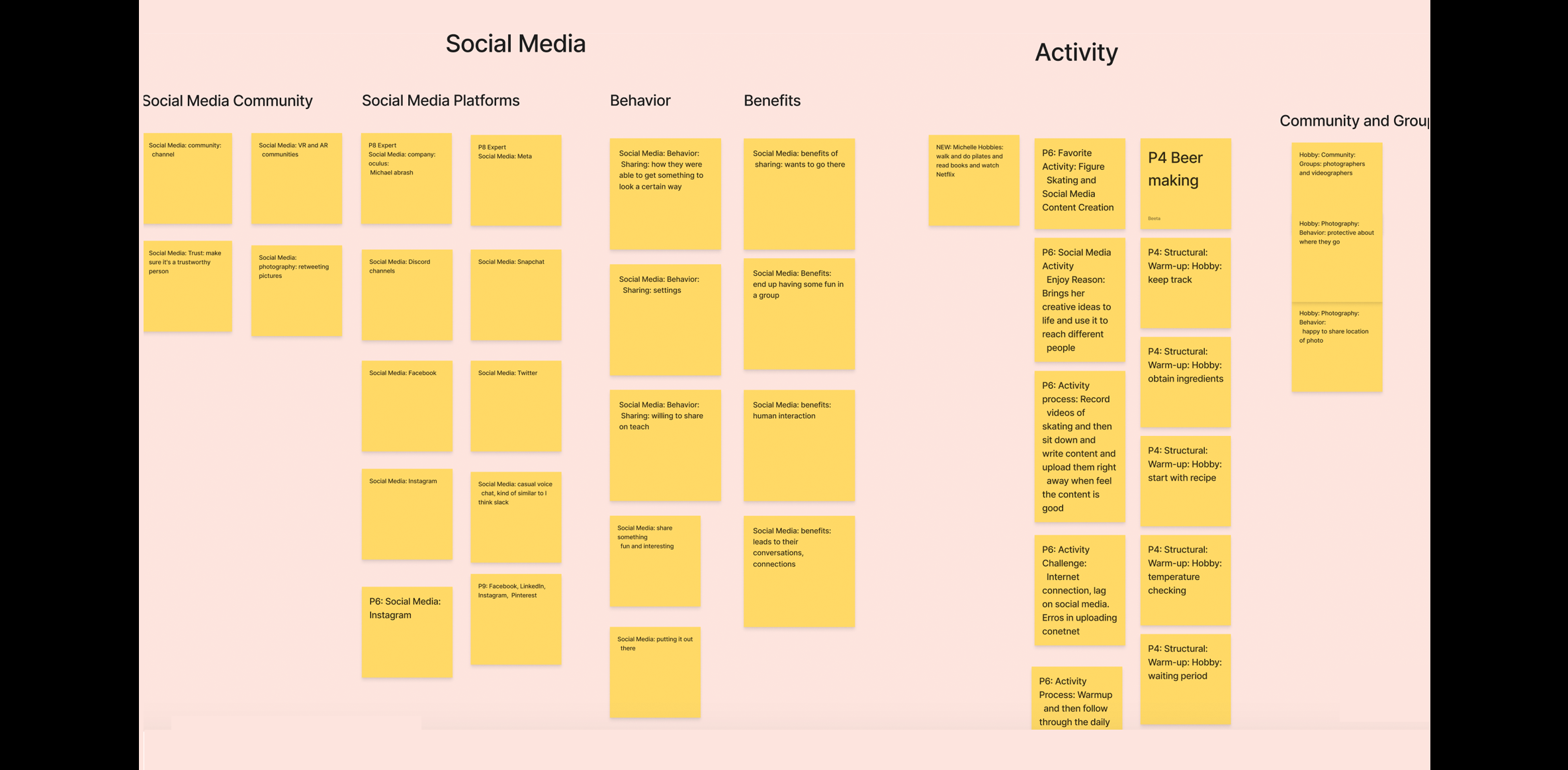 Expert Affinity Diagram of Social Media and Activity/Hobbies categories.