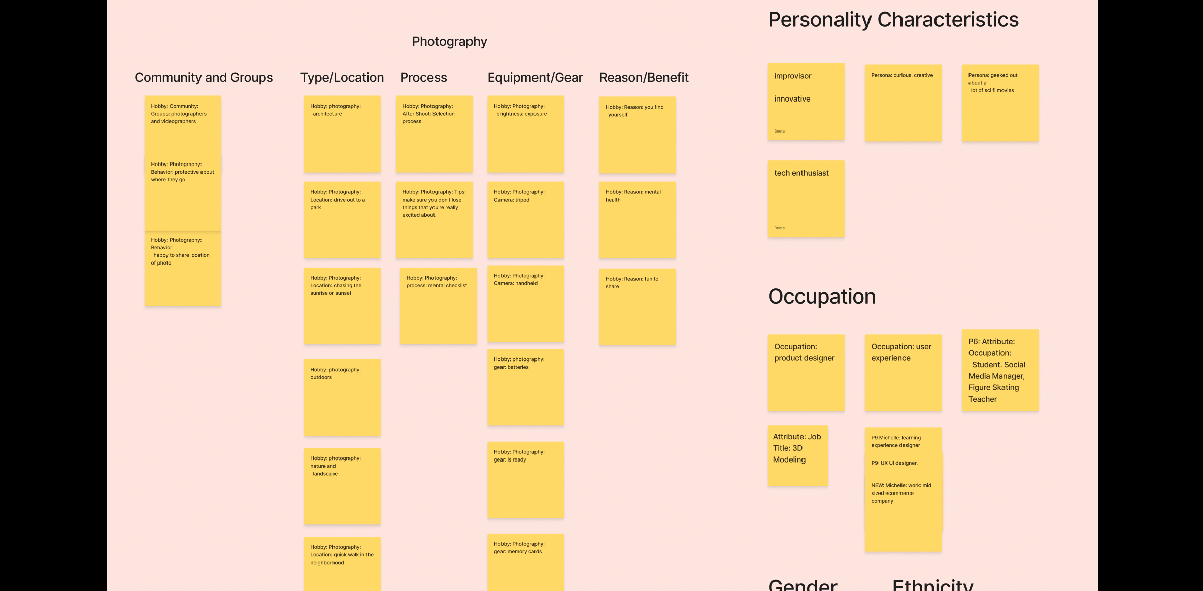 Expert Affinity Diagram of Activity/Hobbies and Demographics categories.