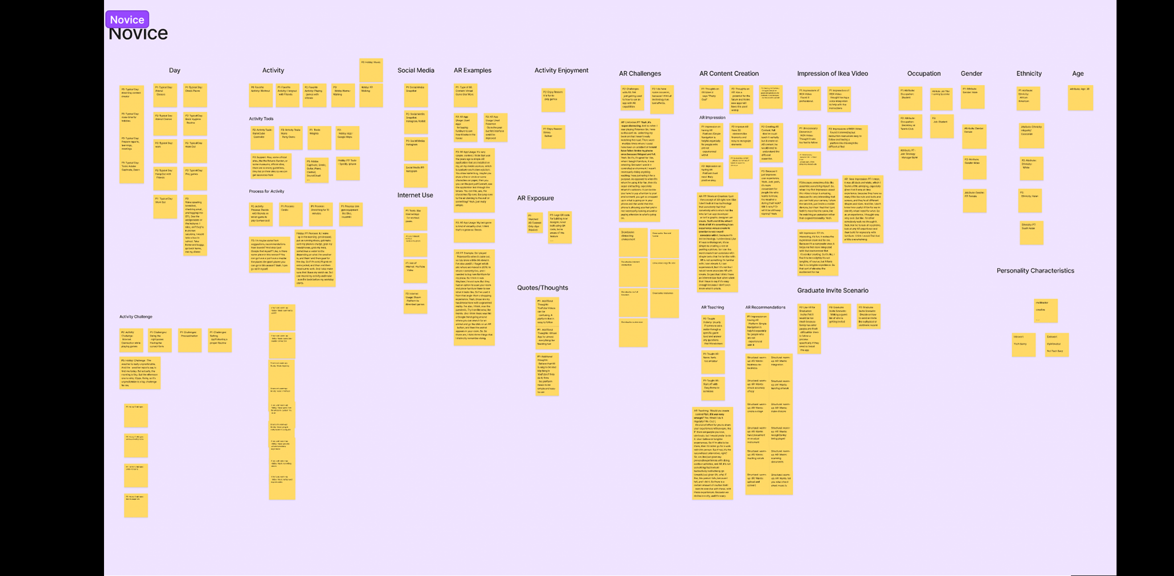 Novice Affinity Diagram overview of Categories.